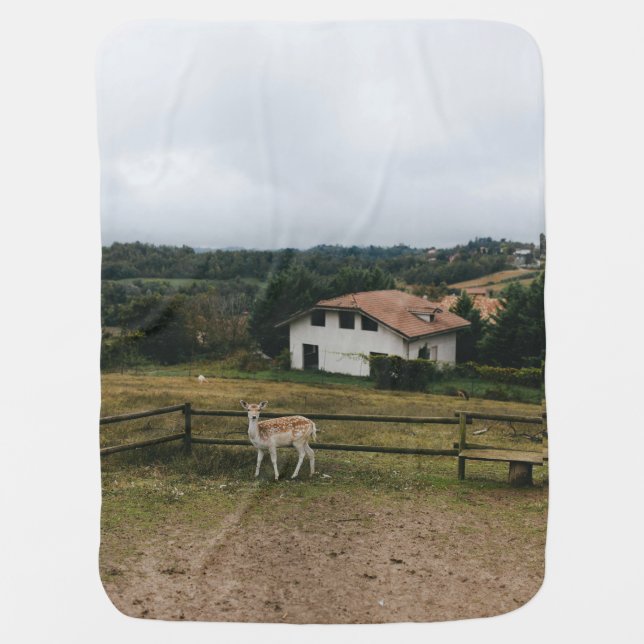 Baby Blanket (Front)