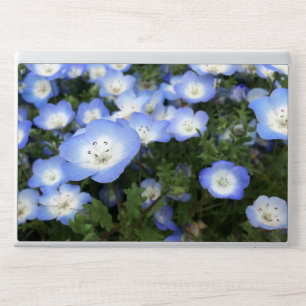 Baby Blue Eyes Nemophila Menziesii Close-Up Floral HP Laptop Skin