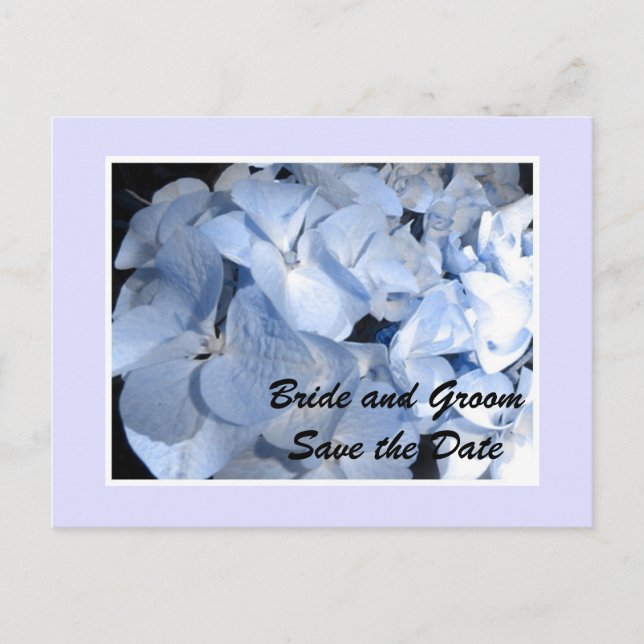 Baby Blue Hydrangea Save the Date Announcement Postcard (Front)