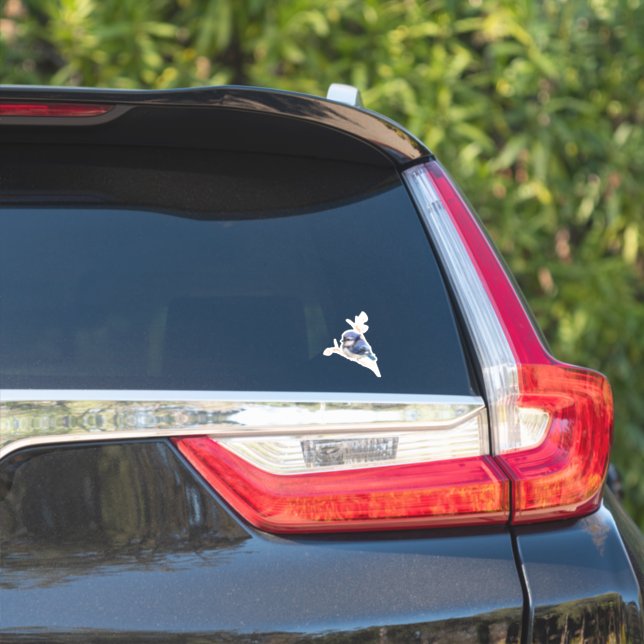 Baby Blue Jay Bird Custom-Cut Vinyl Sticker