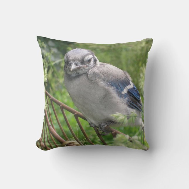 Baby Blue Jay Throw Pillow (Front)