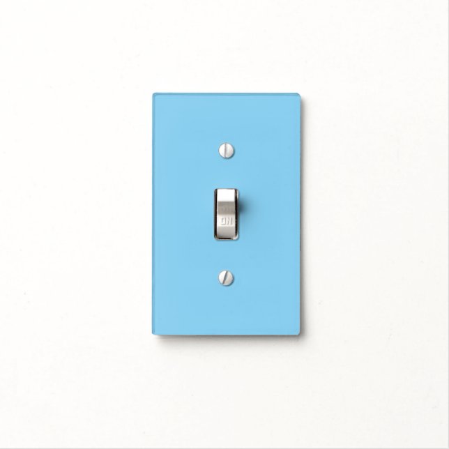 Baby Blue Light Switch Cover (In Situ)