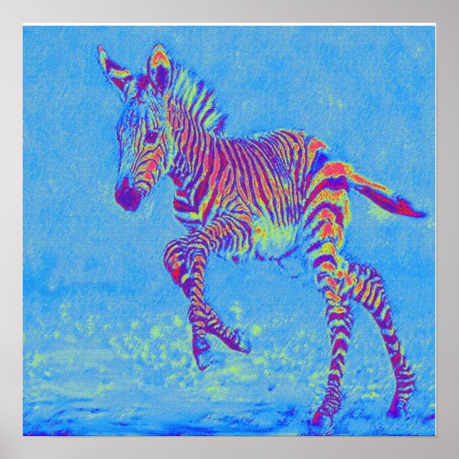 baby blue zebra running poster (Front)
