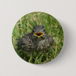 Baby Bluebird Button