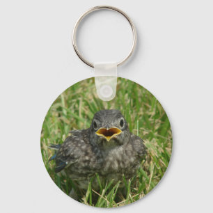 Baby Bluebird Keychain