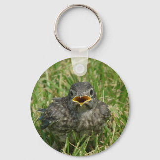 Baby Bluebird Keychain