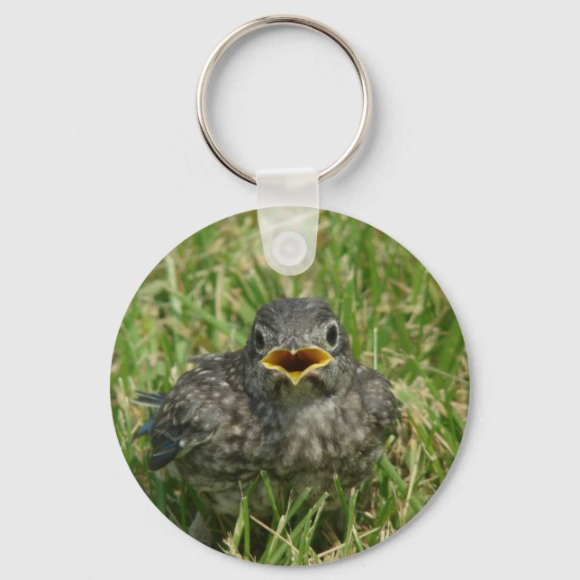 Baby Bluebird Keychain (Front)