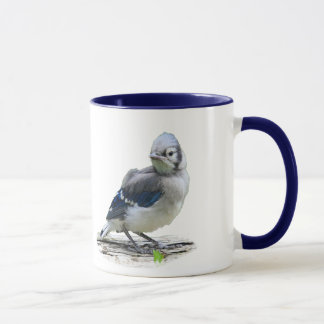 Baby Bluejay Cup #1