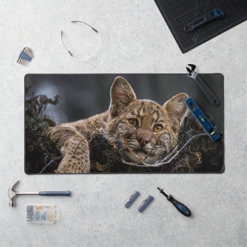 Baby Bobcat Lying in Tree Mouse Pad