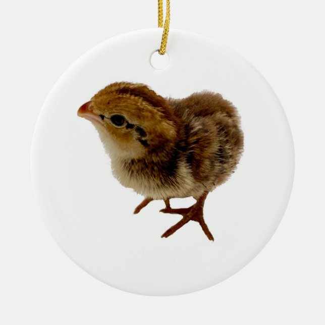 Baby Bobwhite Quail Ceramic Ornament (Front)