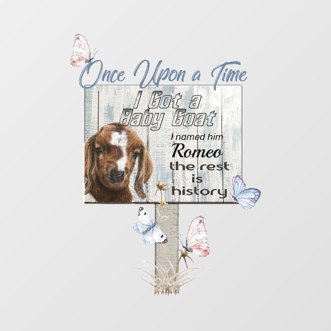Baby Boer Whimsical Rustic Goat Sign  Wall Decal (Front)
