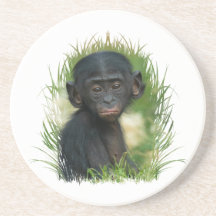 Baby Bonobo Ape