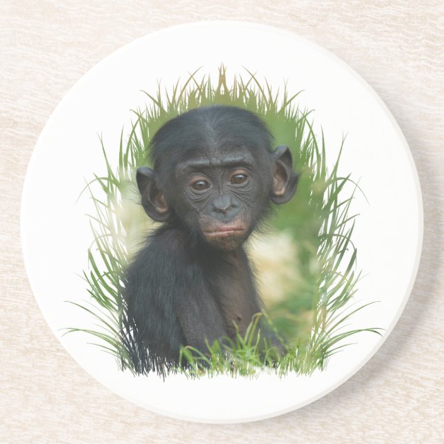 Baby Bonobo Ape Coaster (Front)