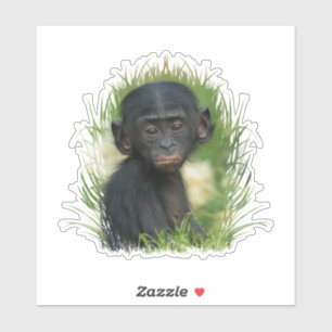 Baby Bonobo Ape Sticker