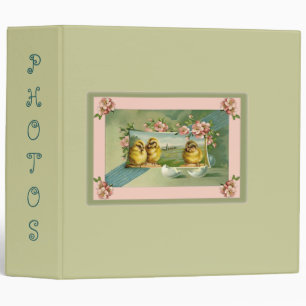 Baby book for Triplets or 3 grandchildren chicks 3 Ring Binder