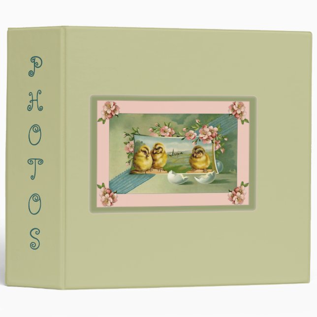 Baby book for Triplets or 3 grandchildren  chicks Ring Binder (Front/Spine)