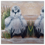 Baby BOOM Peep Fabric