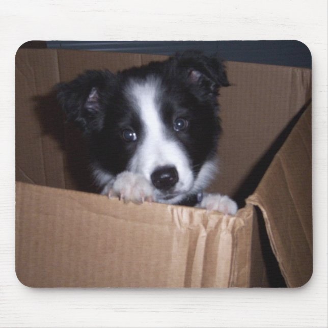 Baby Border Collie Mouse Pad (Front)