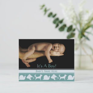 Baby Boy Announcement Postcard