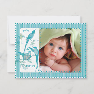 Baby Boy Aqua Vintage Birds Picture Announcement