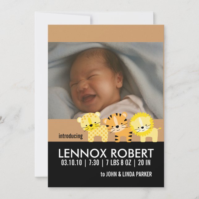 Baby Boy Birth Announcement Photo Cards (Front)