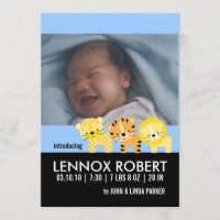 Baby Boy Birth Announcement Photo Cards