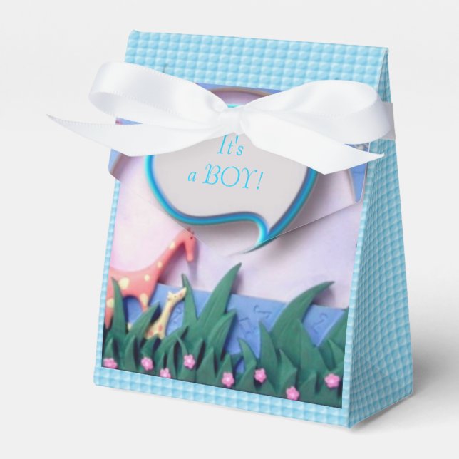 Baby Boy Birth Favor Boxes (Front Side)