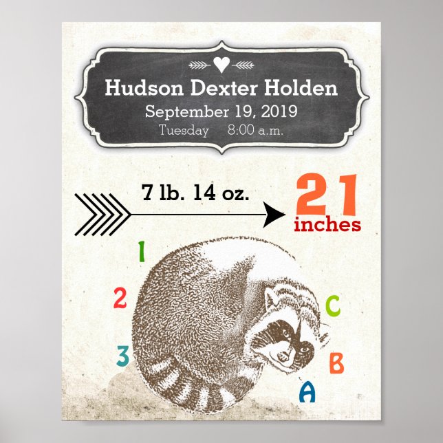 Baby Boy Birth Stats Cute Raccoon and Arrow Poster (Front)