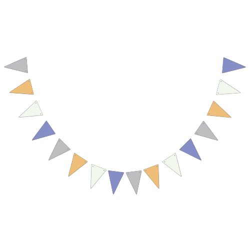 Baby Boy Bunting Banner Flags
