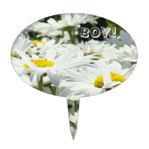 Baby BOY! cake picks Dessert toppers White Daisies
