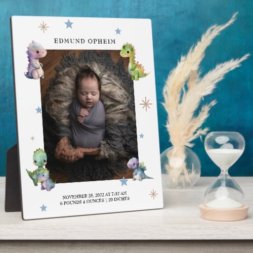 Baby Boy Dinosaur Birth Photo  Plaque