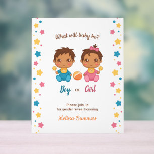 Baby Boy Girl Gender Reveal Party Acrylic Sign