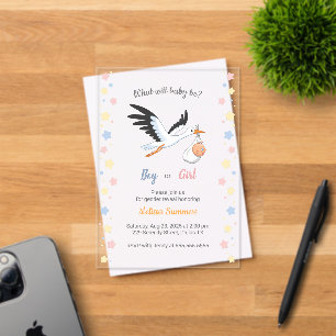Baby Boy Girl Stork Gender Reveal Party Acrylic Invitations