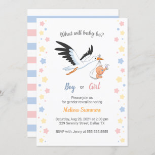 Baby Boy Girl Stork Gender Reveal Party Invitation