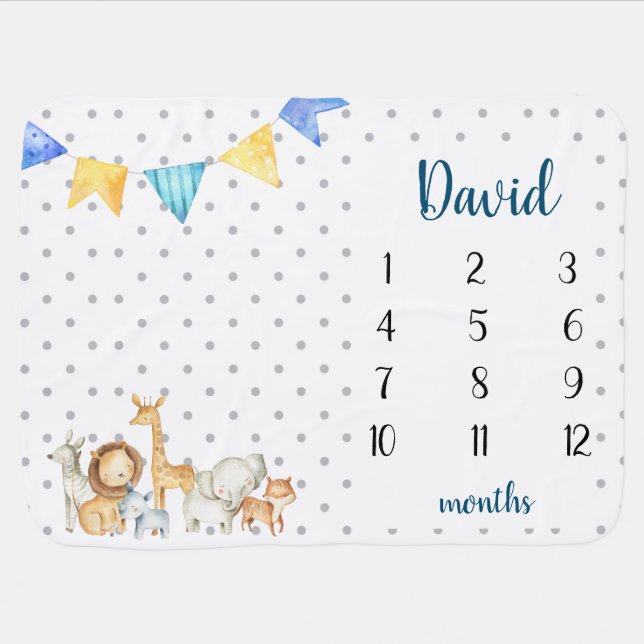 Baby Boy Monthly Milestone Blanket (Horizontal)