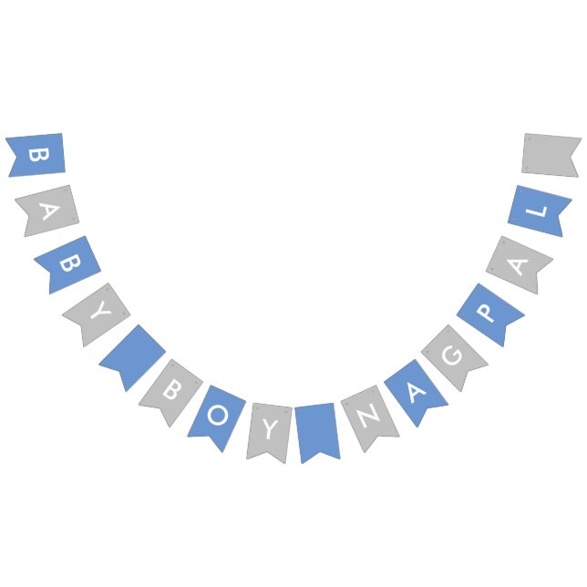 Baby Boy Nagpal Blue and Silver Banner (All)