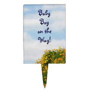 Baby boy on the Way! cake toppers Baby Shower cake