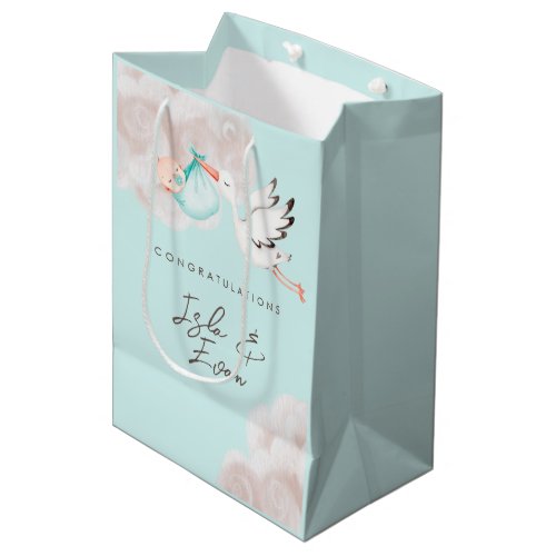 Baby Boy Shower Gift Bag