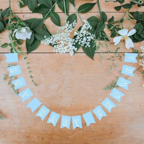 Baby Boy Shower Party Blue Bunting Flags