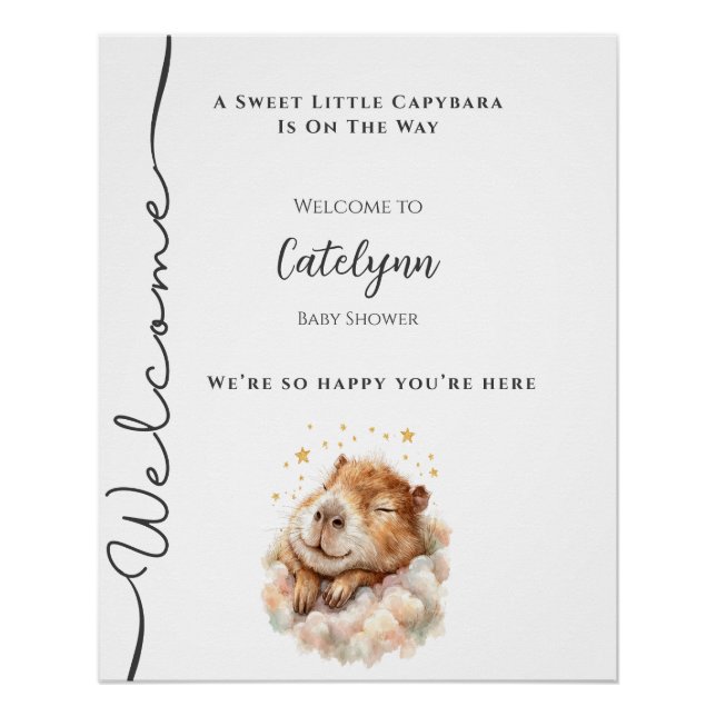 Baby Boy Shower Welcome Sign • Capybara Theme (Front)