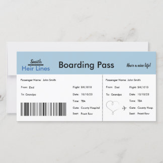 Baby Boy Travel Themed Pregnancy Announcement