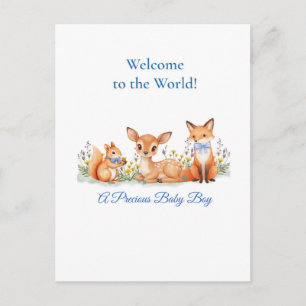 Baby Boy Welcome Woodland Animals Deer Fox Squirre Postcard