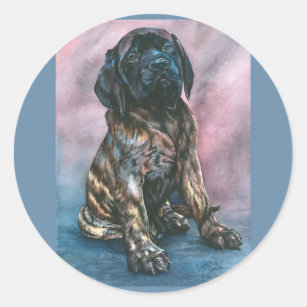 Mastiff Stickers | Zazzle