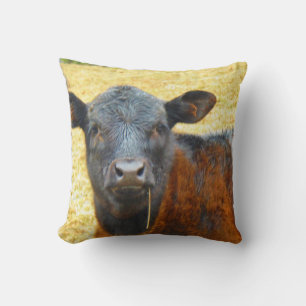 Baby Brown and Black Cow Throw Pillow