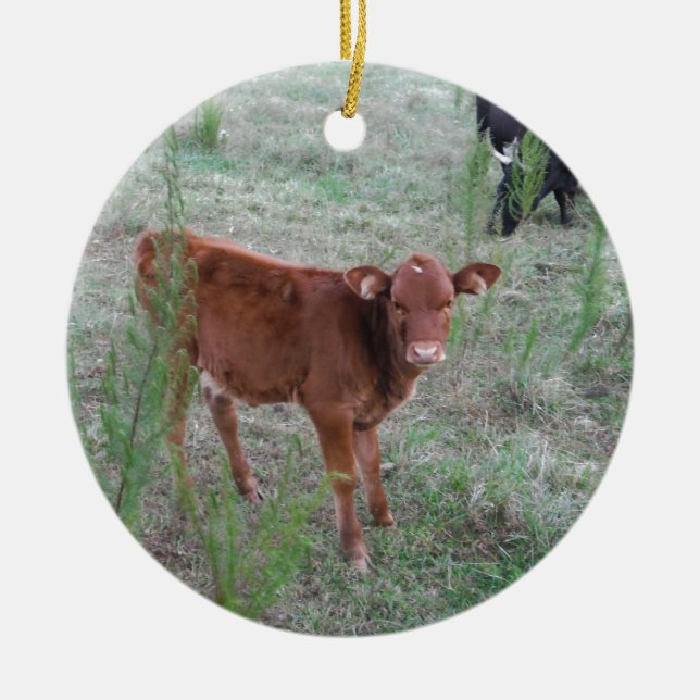 Baby Brown Cow . Ceramic Ornament (Front)