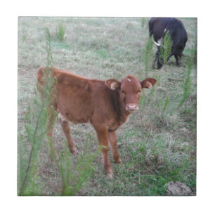 Baby Brown Cow . Ceramic Tile