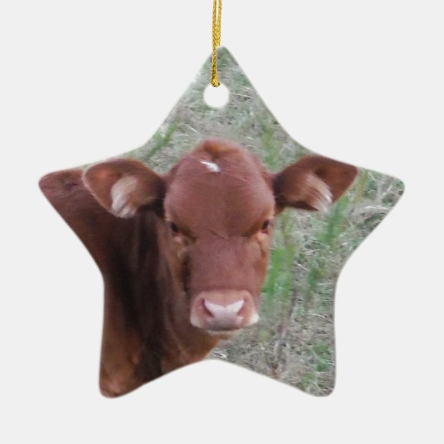 Baby Brown Cow face Ceramic Ornament (Front)
