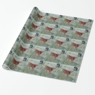 Baby Brown Cow . Wrapping Paper