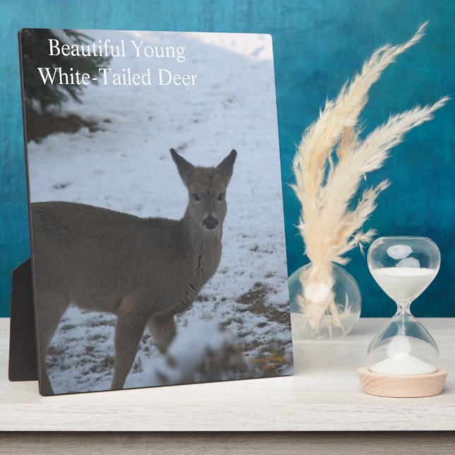 Baby Buck White-Tailed Deer Snow EASEL Plaque (Side)