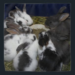 Baby Bunnies Bandana<br><div class="desc">Two of my rescue bunnies had babies days apart. Here are all of the babies together once they got away from their Mamas.</div>